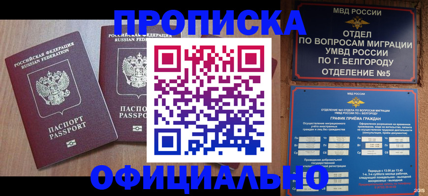 найти адрес прописки в Белгороде